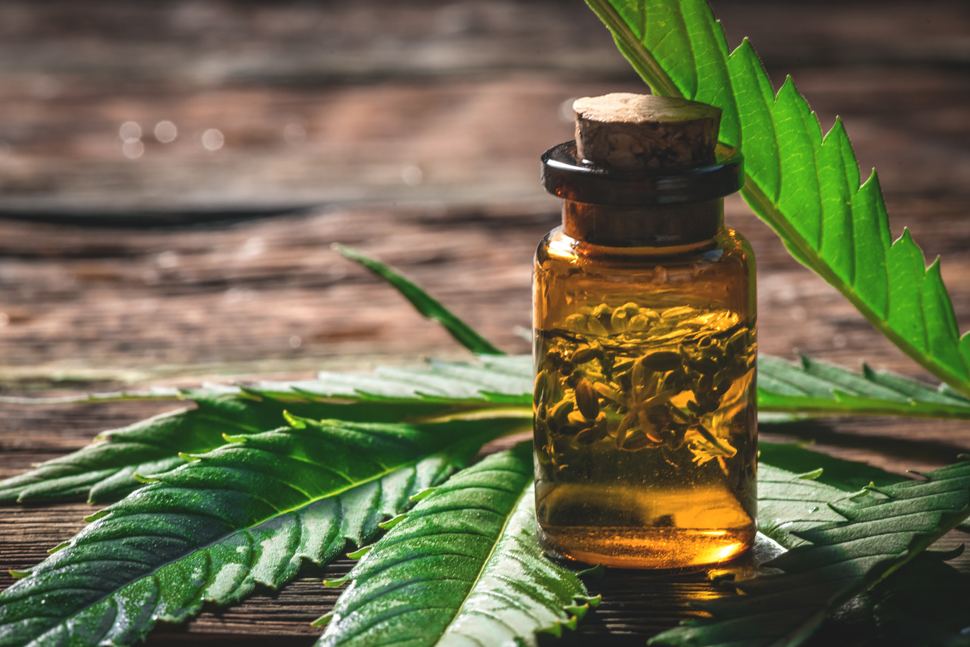 Comparing Cannabinoids: What’s the Difference Between CBD vs CBG vs CBN